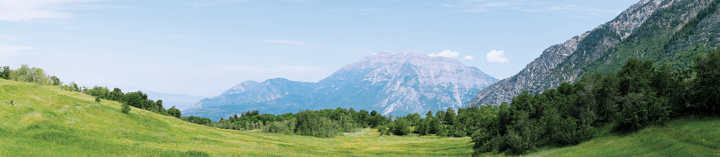 Image of a landscape - Garbett Homes